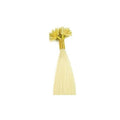 Extensions de cheveux Hot Fusion 60 cm 60# Blond platine - | Fashiongirl