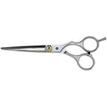 Ciseaux de coiffure professionnels - Outil de coiffure | Fashiongirl