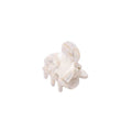 Le SOHO Hara Mini Hair Claw - Porcelain de SOHO est un petit accessoire pour cheveux en plastique transparent ressemblant à une mini pince, isolé sur un fond blanc.