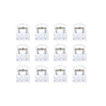 Dix mini-pinces à cheveux SOHO Lucca - Transparentes de SOHO sont disposées en quatre rangées sur un fond blanc uni, ressemblant à des appareils orthodontiques avec des bagues blanches et des fils métalliques ou à des pinces à cheveux transparentes soigneusement disposées.